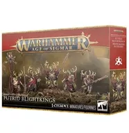 マゴットキン・オヴ・ナーグル： ピュートリッド・ブライトキング 「ウォーハンマー エイジ・オヴ・シグマー」 (Maggotkin of Nurgle： Putrid Blightkings) [83-28]