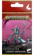 ディサイプル・オヴ・ティーンチ： フェイトマスター 「ウォーハンマー エイジ・オヴ・シグマー」 (Disciples of Tzeentch： Fatemaster) [83-111]