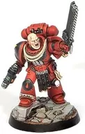 1. "Warhammer 40000 : Space Marine Heatrose 2022 : Blood Angel Collection 1"