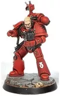 2. "Warhammer 40000 : Space Marine Heatrose 2022 : Blood Angel Collection 1"