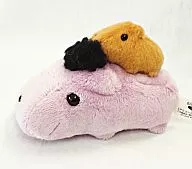 "Capybara-san" in the Plush toy of Regent and Kapi's Suto Nakayoshi.