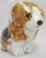 イヌ(Side-Kick) ぬいぐるみ ビーニーベイビーズ