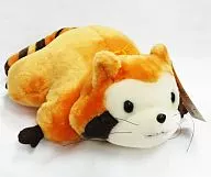 Rascal World Masterpiece Theatre DX Animal Empalhado "Araiguma Rascal"