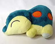 Hinoarasidore Pokedor (Peluche) Centro Pokémon 10 th Anniversary ver. "Pokémon" Centro Pokémon limited