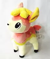"Pokémon", um animal empalhado.