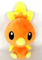 Achamo Kawaii Pocket Monsters Plush toy 2 "Pocket Monsters Advanced Generation"