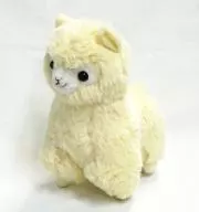 Alpaca Sso (Cream) Macaroon Al パカッソ Standard Plush toy "アルパカッソ"