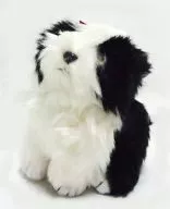 Peluche Beanie Babies