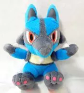 "Pokémon Diamond and Pearl" (Peluche Diamond and Pearl)