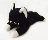 Gato (Zip) / White Legs Empalhado Beanie Babies