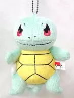 191. Família de Squirtle MY Pokémon Collection Animal Empalhado - O início de uma nova viagem - "Pokémon XY"
