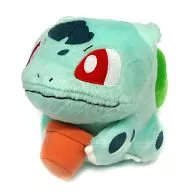 ハルカのフシギダネ 小物付ぬいぐるみ 「ポケットモンスター アドバンスジェネレーション」