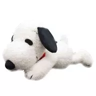 Play! Snoopy Plush toy (S) "PEANUTS (SNOOPY)"