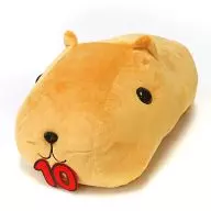 El Sr. Capybara es un gran Peluche - 10 th Anniversary - "Capybara san"