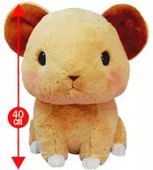 きゅんきゅん キュンとなきうさぎの歌 BIGサイズぬいぐるみ 「キュンとなきうさぎ」