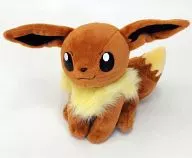 Eevee Pocket Monsters AG Plush toy NEW "Pocket Monsters Advanced Generation"