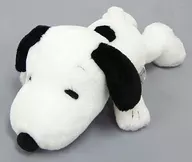 Snoopy Plush toy "PEANUTS (SNOOPY)" Universal Studios Japan limited