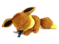 Eevee Oyasumi Plush toy "Ichiban KUJI Pikachu and Friends ~ Eievui twinkle dream ~" B Prize