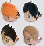 4-Type Set Flying Receive Plush toy "Haikyu!"