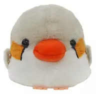 Zebra finch Wakuwaku Kotori Unit, Standard Size Plush toy "Kotori Unit"