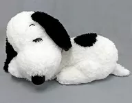 Snoopy Mega Jumbo Fluffy Sleeping Pose Plush toy "PEANUTS (SNOOPY)"