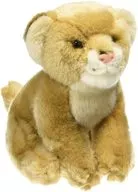 メスライオン ぬいぐるみ(S) 「WILD LIFE ANIMALS-ワイルドライフアニマルズ-」