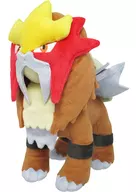 Entei ALL STAR COLLECTION S Tamanho do brinquedo de pelúcia "Pokémon"
