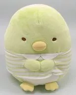 Pengin? Striped Shirt Plush toy "Sumikko Gurashi"
