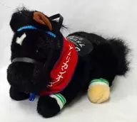 シーザリオ Peluche (S) 4 th American Oaks (Hollywood Park Race Course)