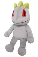 One-Key ALL STAR COLLECTION S Tamanho do brinquedo de pelúcia "Pokémon"