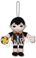 Kageyama Tobio Plapachi Peluche "Haikyu!!!"