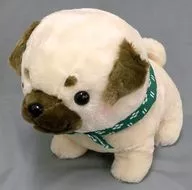 Pug Hyoe Mameshiba Three Brothers BIG Plush toy "Mameshiba Three Brothers"