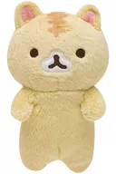True Cologna Plush toy (Small)' Korokoro Cologna'