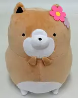 Tarushiba (Ohana) Spring Big Plush toy "Tarushiba"