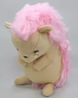 Hedgehog Plush toy "your name."