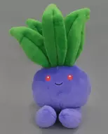 毛绒玩偶Pokemon fit精灵宝可梦口袋妖怪中心限定