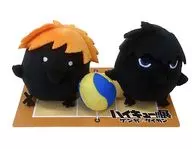 Hina Glass & Kage Glass Plush toy Set "Haikyu!"