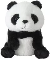 Panda Peluche (S) "fluffies - フラッフィーズ -"