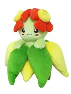Kire Lee Ha-na ALL STAR COLLECTION S Size Plush toy "Pocket Monsters"