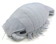 Besouros gigantes de pelúcia (tamanho M)