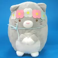 Neko-no-kyodai (gray) Neko-no-kyodai Plush toy' Sumiko-gurashi'