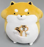 "Taru-shiba", una gran Peluche masticable con el Sr. Taru-shiba.