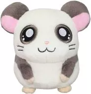 Panda Plush toy (S) "HAMTARO"