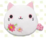 花ねこだんご(コスモス) ぬいぐるみ 「ねこだんご」