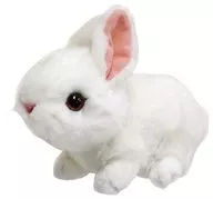 Rabbit (white) Plush toy' Riku no Nakamatachi'