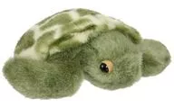 ウミガメ ぬいぐるみ(S) 「うみのなかまたち」