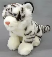 White Tiger (child) Real Ani Marpha Millie Plush toy 「 ENDANGERED ANIMALS - エンデンジャード The Animals 」