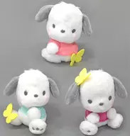 3-Type Set Pastel Chocho Plush toy "Pochakko"