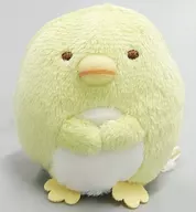 "Sumicco Gurashi", a Plush toy of Bungin? Tenori