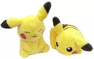 全2種セット Pokemonlife with PIKACHU でっかいぬいぐるみ～ピカチュウ～ 「ポケットモンスター」